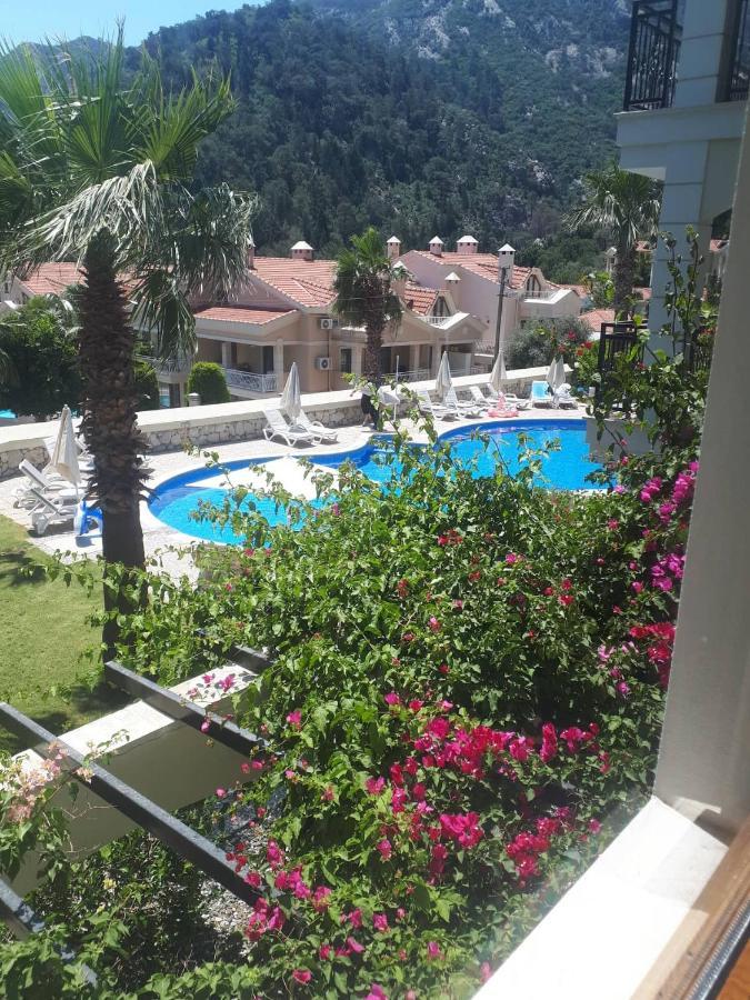 Apartment Dolphine Apatment Turunc